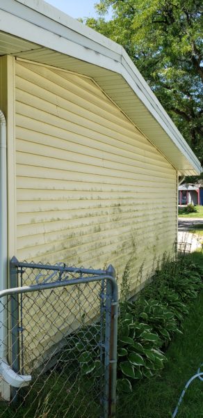 Soft Pressure House washing for your home is the safest way to cleanse your home's exterior. Let It Shine uses a biodegradable house wash that is safe for your family, pets, plants and yard. Let us make your house shine!