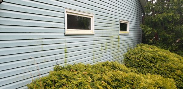 Soft Pressure House washing for your home is the safest way to cleanse your home's exterior. Let It Shine uses a biodegradable house wash that is safe for your family, pets, plants and yard. Let us make your house shine!